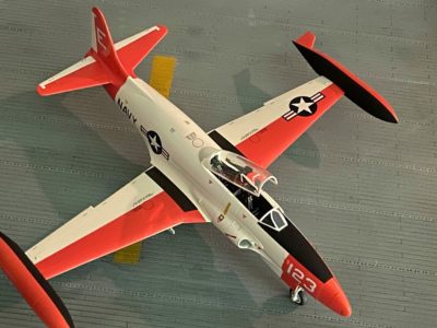 Virtual Model Show, April 2020