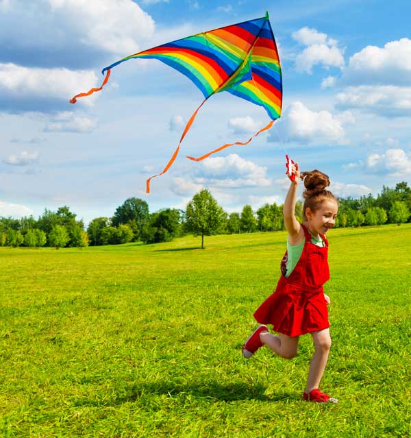 Fundemonium-Outdoor-Kite image