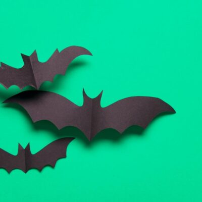 Construction Paper Bats