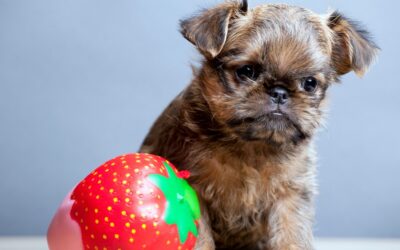 Squeeze and De-Stress with Squishy Toys