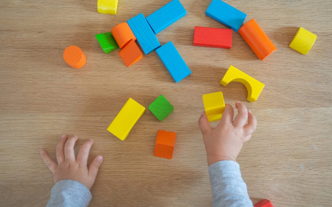 Building Bright Minds: The Power of Educational Toys for Early Childhood Development